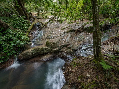 Jacky Barkers Campground - Accommodation Gold Coast 3