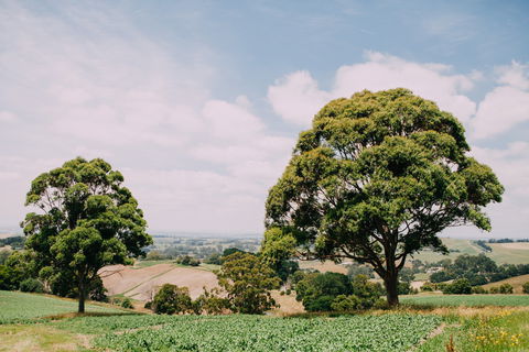 Kardella Country Homestead - Accommodation Gold Coast 9
