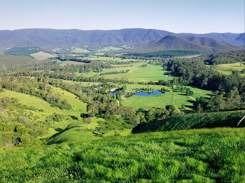 Kingbilli - Accommodation Gold Coast 1