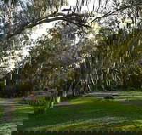 Kookibitta campground - Accommodation Gold Coast