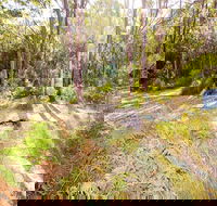 Mackaway Bay campground - Gold Coast 4U