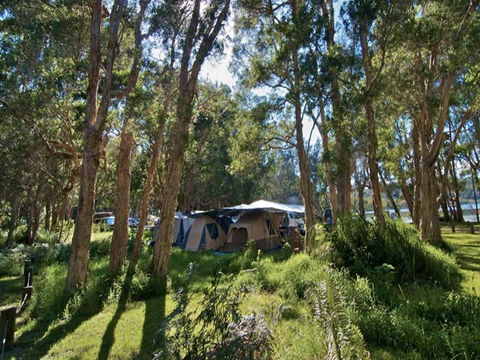 Neranie Campground And Picnic Area - Gold Coast 4U 0