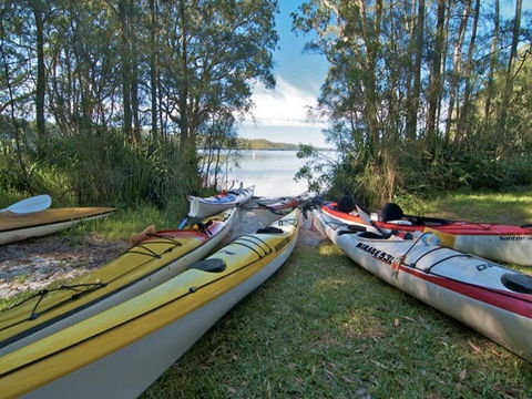 Neranie Campground And Picnic Area - Gold Coast 4U 1