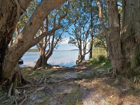 Neranie Campground And Picnic Area - Gold Coast 4U 2