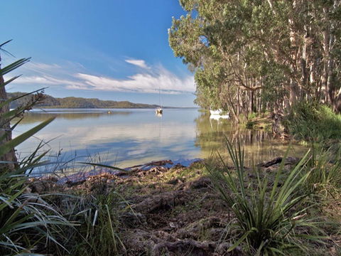 Neranie Campground And Picnic Area - Gold Coast 4U 3