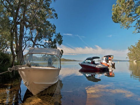 Neranie Campground And Picnic Area - Gold Coast 4U 4
