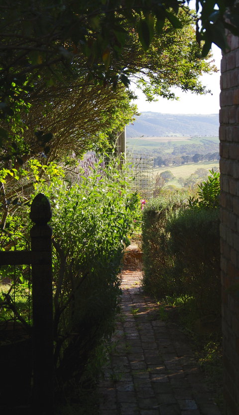 Pear Tree Hollow - Accommodation Gold Coast 7