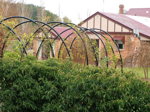 Pierrepoint Wines Bed & Breakfast - Accommodation Gold Coast 1