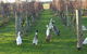 Pierrepoint Wines Bed & Breakfast - thumb 2
