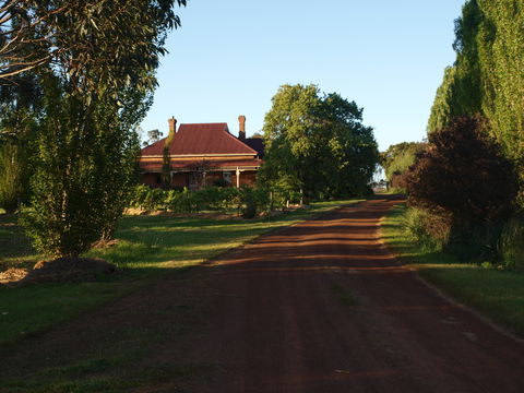 Pierrepoint Wines Bed & Breakfast - Accommodation Gold Coast 4