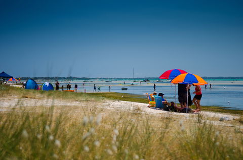 Rosebud Foreshore Camping - Accommodation Gold Coast 0