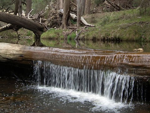 Silent Creek Campground - Gold Coast 4U 1