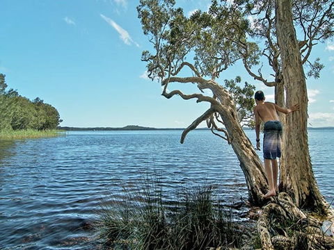 The Wells Campground - Gold Coast 4U 1
