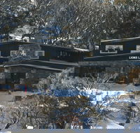 The Lions Lair Lodge - Accommodation Gold Coast