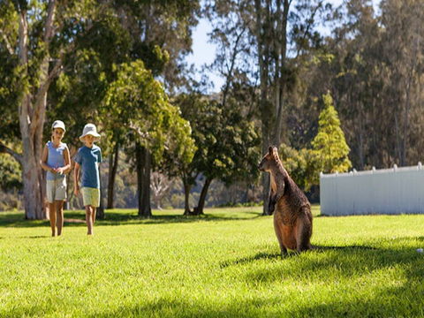 The Basin Campground - Accommodation Gold Coast 4