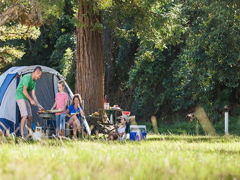 The Basin Campground - Accommodation Gold Coast 5
