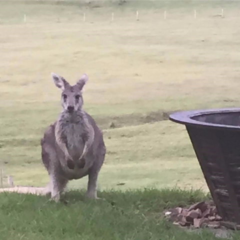 Valle Laguna - Accommodation Gold Coast 4