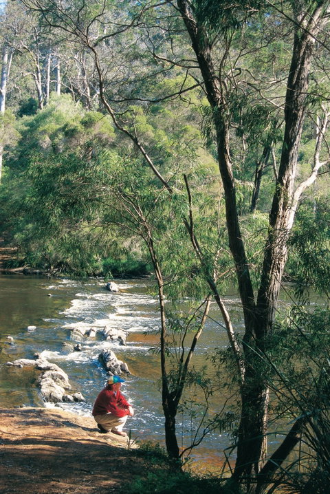 Warren Camp At Warren National Park - Accommodation Gold Coast 0