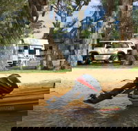 Willow Bend Caravan Park - Accommodation Gold Coast