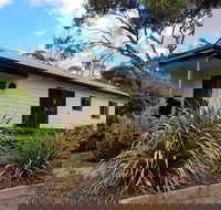 Adonis Dream - Accommodation Gold Coast