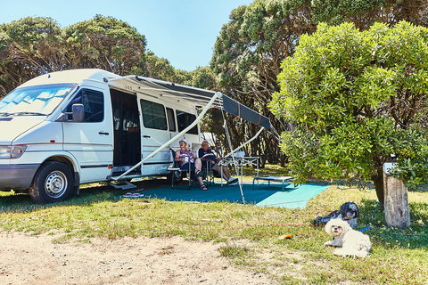 Anglesea Family Caravan Park - Accommodation Gold Coast 2