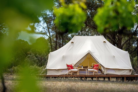 Balgownie Estate Winery Glamping & Accommodation - Accommodation Gold Coast 0