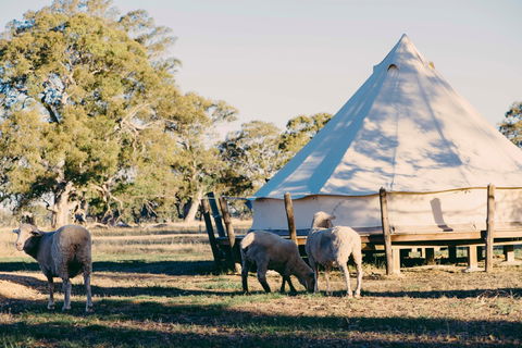 Bellwether Wines - Accommodation Gold Coast 2