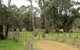 Ben Halls Campground - thumb 0