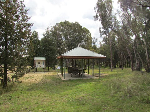 Ben Halls Campground - Accommodation Gold Coast 1