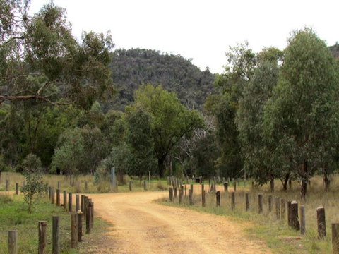 Ben Halls Campground - Accommodation Gold Coast 2