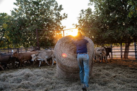 Bullo River Station - Accommodation Gold Coast 2