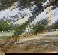 Country Acres Caravan Park - Accommodation Gold Coast