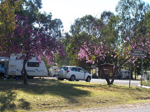 Eidsvold Caravan Park - Gold Coast 4U 0