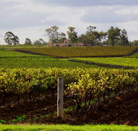 Estate Tuscany - Accommodation Gold Coast