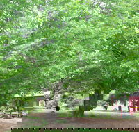 Hill End Holiday Ranch - Accommodation Gold Coast