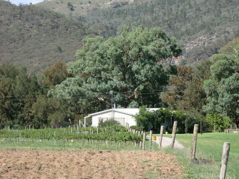 Jessica's Guest House And Vineyard - Accommodation Gold Coast 2