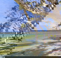 Margaret Cove Camp at Stokes National Park - Accommodation Gold Coast