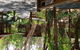 Melaleuca Surfside Backpackers - thumb 0