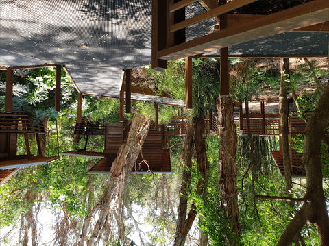 Melaleuca Surfside Backpackers - Accommodation Gold Coast 0