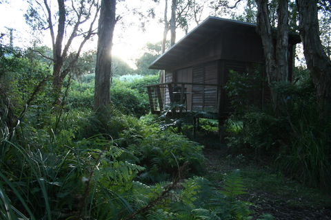 Melaleuca Surfside Backpackers - Accommodation Gold Coast 1