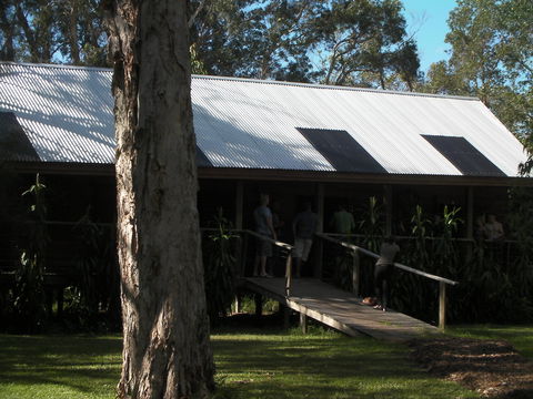 Melaleuca Surfside Backpackers - Accommodation Gold Coast 2