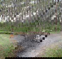 Meroo Head campground - Accommodation Gold Coast