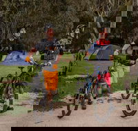 Ngarigo campground - Accommodation Gold Coast