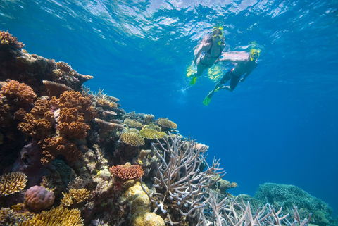 NRMA Cairns Holiday Park - Accommodation Gold Coast 0