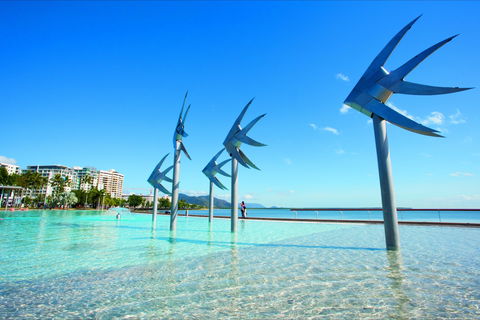 NRMA Cairns Holiday Park - Accommodation Gold Coast 1