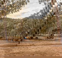 Pinch River campground - Accommodation Gold Coast