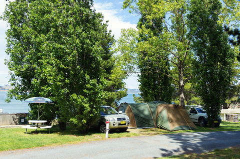 Rainbow Pines Tourist Caravan Park - Gold Coast 4U 1