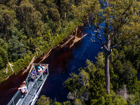 Tahune Adventures Tasmania - Lodge And Cabin - Gold Coast 4U 1