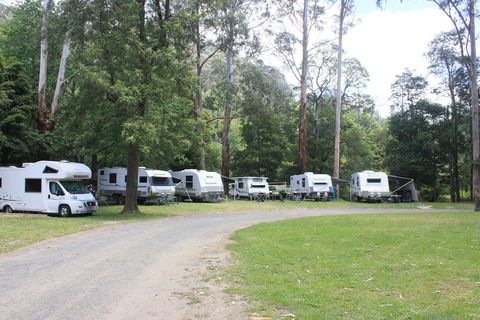 Tarra Valley Caravan Park - Accommodation Gold Coast 2