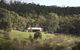 Taralee Orchards - thumb 1